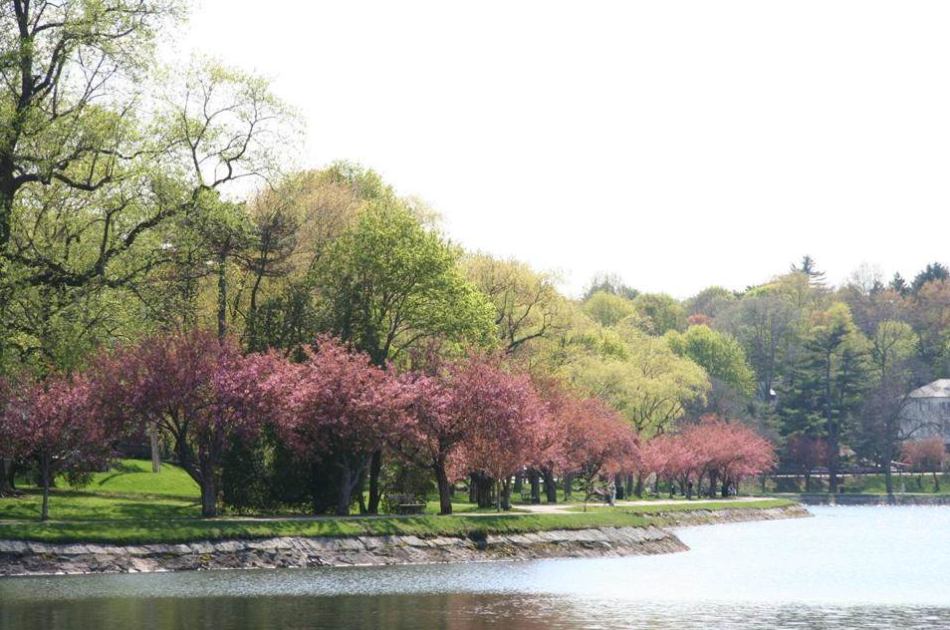 Image source: https://www.brooklinema.gov/1408/Brookline-Reservoir-Park